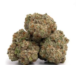 Jack Herer
